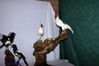 Filename=DSC09648.jpg
Filesize=164KiB
Dimensions=1000x669
Date added=May 04, 2007 DSC09648.jpg