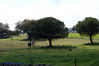 Filename=DSC06451.jpg
Filesize=210KiB
Dimensions=1000x669
Date added=Apr 12, 2007 DSC06451.jpg