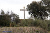 Filename=DSC05273.jpg
Filesize=300KiB
Dimensions=1000x669
Date added=Apr 17, 2007 DSC05273.jpg