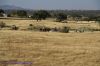 DSC04336.jpg