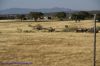 DSC04338.jpg