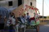 DSC04411.jpg