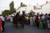 DSC04528.jpg