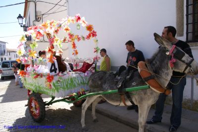 DSC03680.jpg