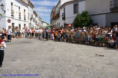 DSC03863.jpg