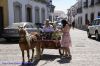 DSC03686.jpg