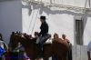 DSC03775.jpg