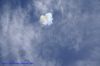 DSC03960.jpg