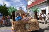 DSC03980.jpg