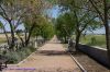 DSC08466.jpg