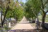 DSC08467.jpg