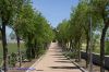 DSC08468.jpg