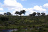 Filename=DSC06669.jpg
Filesize=170KiB
Dimensions=1000x669
Date added=Apr 16, 2007 DSC06669.jpg