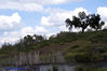 Filename=DSC06674.jpg
Filesize=210KiB
Dimensions=1000x669
Date added=Apr 16, 2007 DSC06674.jpg