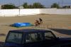 DSC09876.jpg