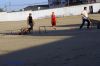 DSC09941.jpg