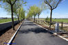 Filename=DSC03113.jpg
Filesize=366KiB
Dimensions=1000x669
Date added=Apr 17, 2007 DSC03113.jpg