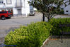 Filename=DSC05345.jpg
Filesize=310KiB
Dimensions=1000x669
Date added=Apr 17, 2007 DSC05345.jpg