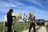 Filename=DSC03391.jpg
Filesize=142KiB
Dimensions=800x536
Date added=Apr 12, 2007 DSC03391.jpg