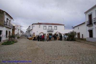 DSC02664.jpg