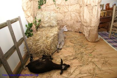 DSC02764.jpg