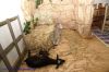DSC02764.jpg