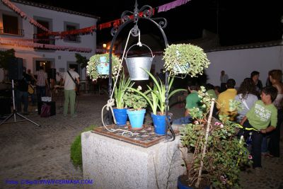DSC03546.jpg