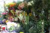 DSC02410.jpg