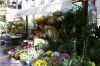 DSC02411.jpg