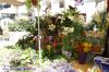 DSC02413.jpg