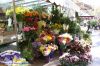 DSC02414.jpg