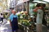DSC02456.jpg