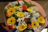 DSC02534.jpg