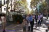 DSC02539.jpg