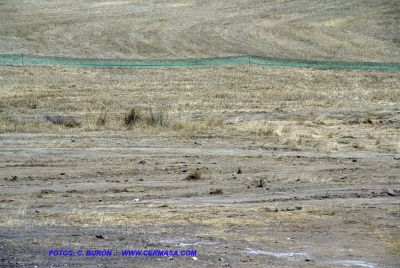 DSC05654.jpg