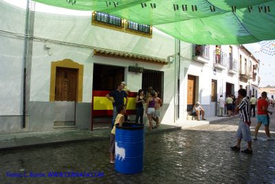 DSC07145.jpg