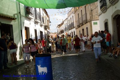 DSC07153.jpg