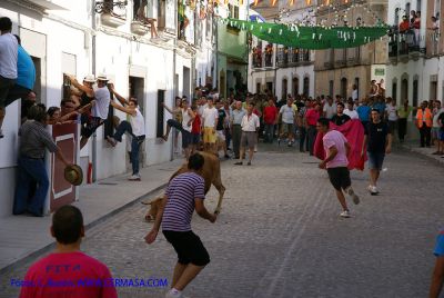 DSC07276.jpg