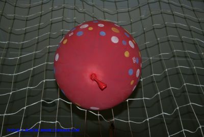 DSC08062.jpg