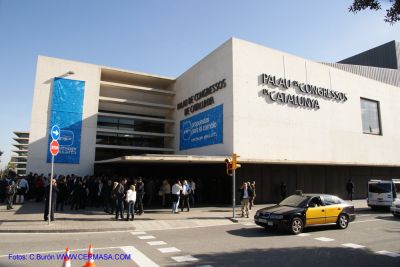 DSC09409.jpg