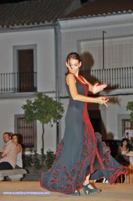 IMG_2311.jpg