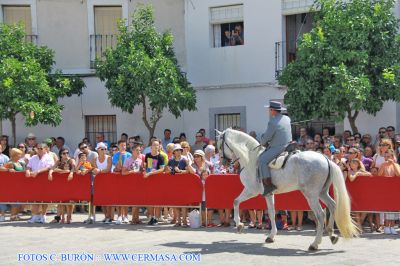 IMG_2824.jpg