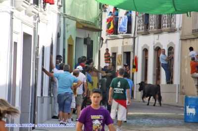 IMG_4367~0.jpg