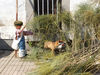 Filename=1-(70).jpg
Filesize=601KiB
Dimensions=1200x900
Date added=Jan 17, 2007 1-(70).jpg