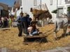 Filename=1-(93).jpg
Filesize=466KiB
Dimensions=1200x900
Date added=Jan 17, 2007 1-(93).jpg