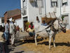 Filename=1-(97).jpg
Filesize=401KiB
Dimensions=1200x900
Date added=Jan 17, 2007 1-(97).jpg