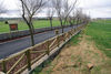 Filename=DSC01006~1.jpg
Filesize=135KiB
Dimensions=800x536
Date added=Feb 27, 2007 DSC01006~1.jpg