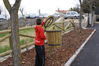 Filename=DSC01029.jpg
Filesize=202KiB
Dimensions=1000x669
Date added=Feb 27, 2007 DSC01029.jpg