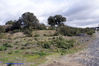 Filename=DSC01212.jpg
Filesize=314KiB
Dimensions=1000x669
Date added=Apr 27, 2007 DSC01212.jpg
