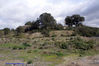 Filename=DSC01213.jpg
Filesize=301KiB
Dimensions=1000x669
Date added=Apr 27, 2007 DSC01213.jpg
